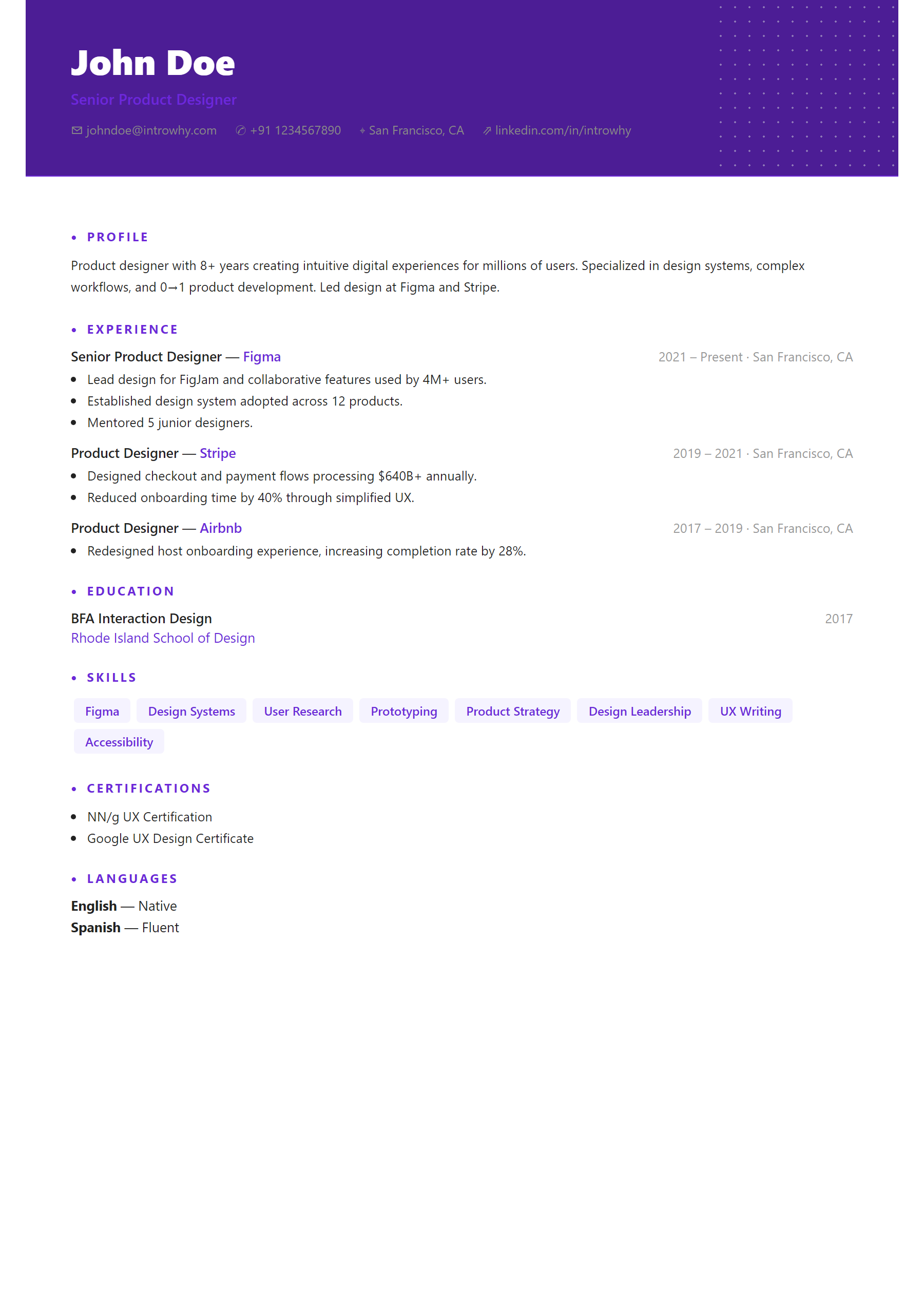 Dot Pattern resume template — full preview